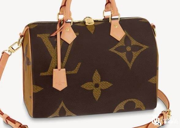 LV 包包回收什么价，SPEEDY 30怎么鉴定？