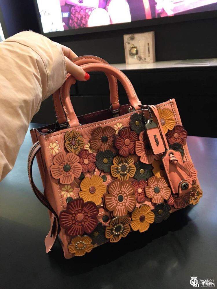 Chloe Mini Roy水桶包搭配起来好看吗？