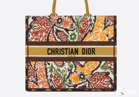 Dior包包回收什么价，装得下世界的book  tote！