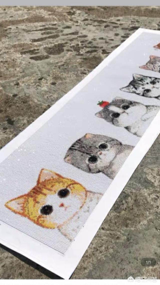 钻石画投资诈骗最新消息,钻石画骗局为什么不抓