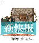 奢侈品包包频繁涨价带旺二手市场“奢侈品理财”靠谱吗？大幅贬值居多（2）