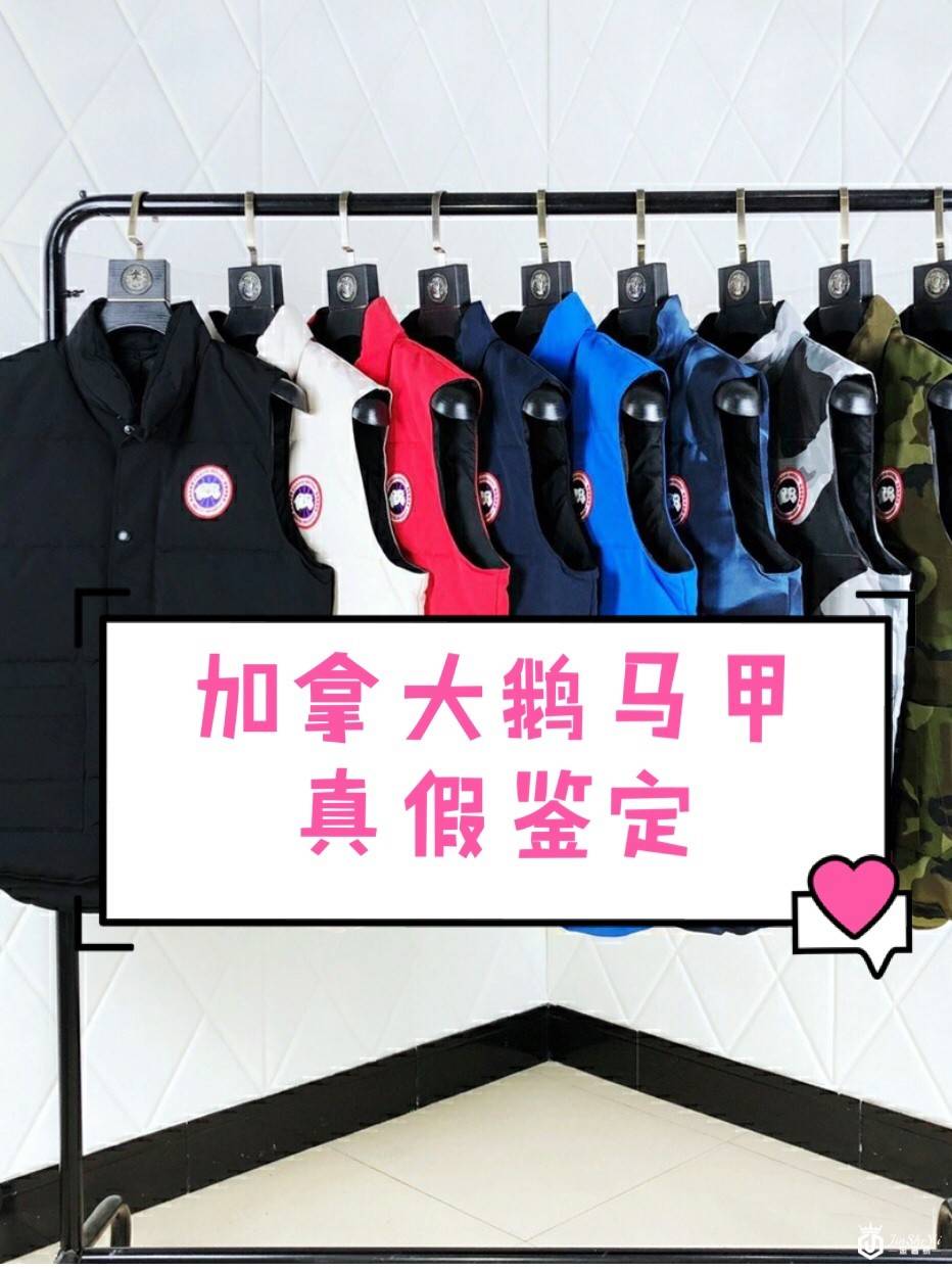 Canada Goose加拿大鹅马甲鉴定真假