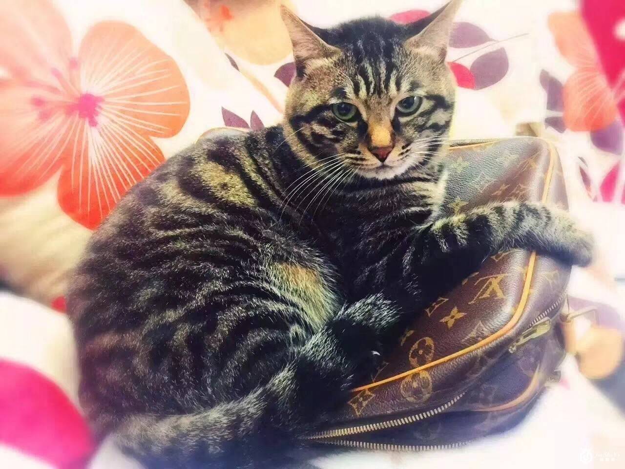 二手奢侈品：处理闲置的中年人与消费奢侈品的年轻人
