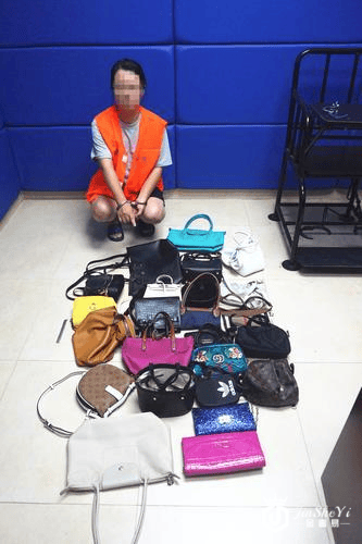 女出纳侵占公款170万就是为了购买名牌奢侈品