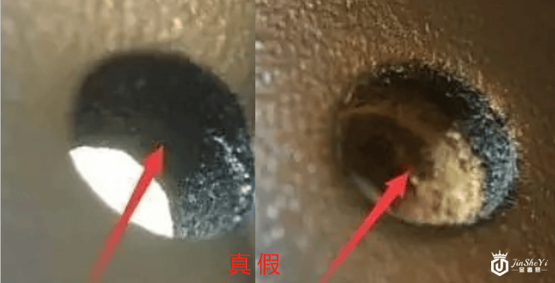 古驰双G压花牛皮板扣腰带真假鉴别 你的皮带是正品吗