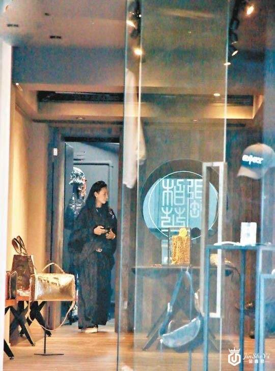 张柏芝为养家开奢侈品店，与谢霆锋门店相隔百米