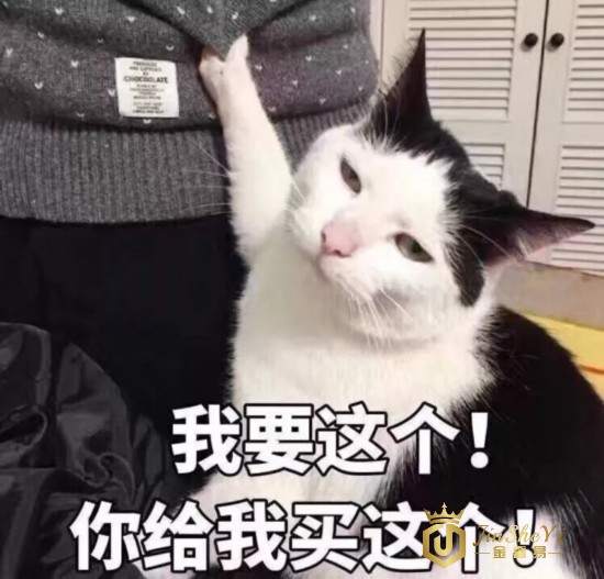被海关扣下的奢侈品都去哪了？
